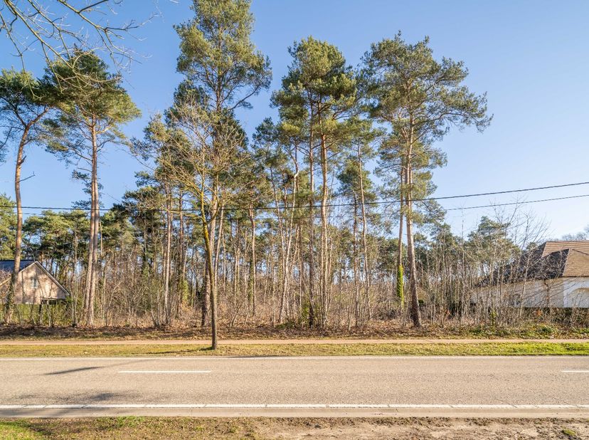 Terrain à vendre
                    à 3600 Genk