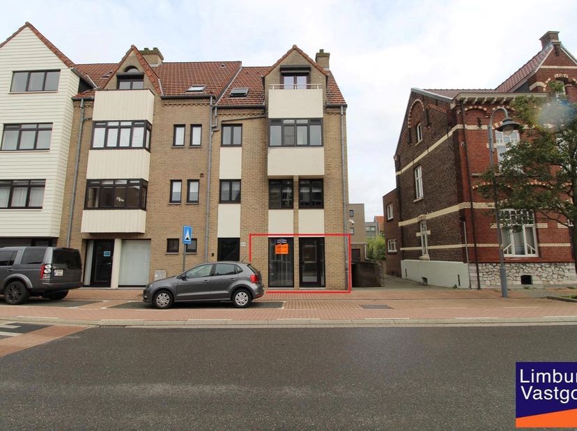 Bien professionnel à vendre
                    à 3680 Maaseik
