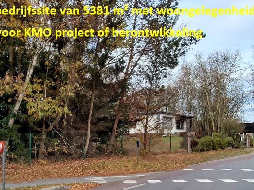Maison à vendre
                    à 3600 Genk