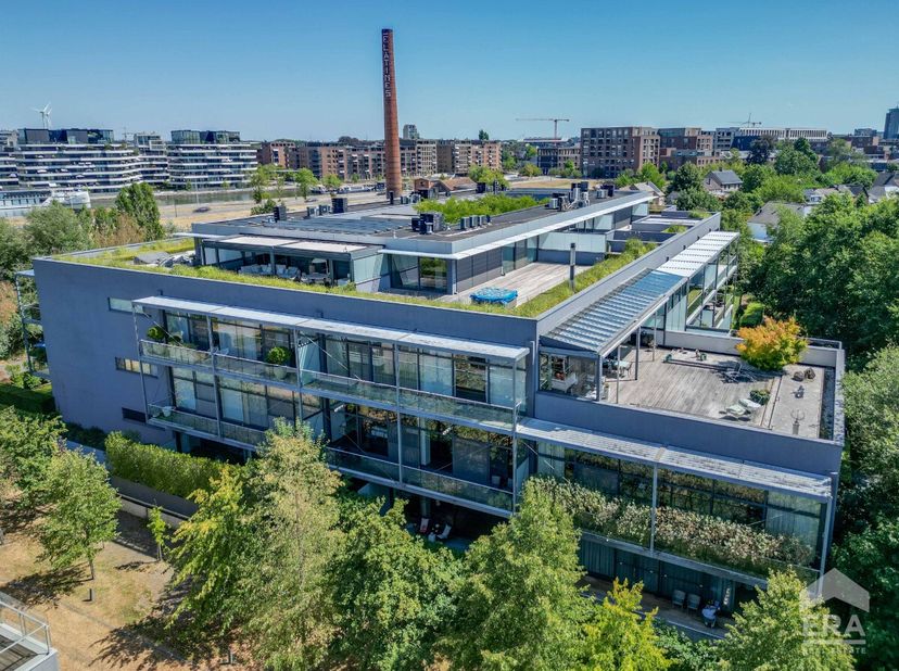Deze karaktervolle loft in de Blue Lofts combineert een unieke loftstijl met royale ruimtes en een uitstekende ligging vlak bij het centrum van Hassel