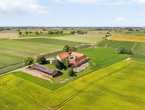                             Ferme à vendre à Houtem
