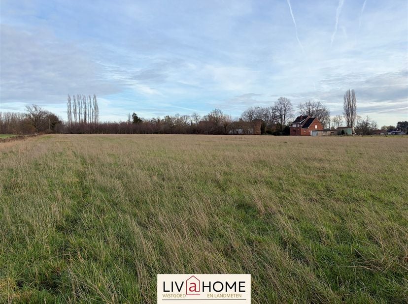 Te koop: Rustig gelegen landbouwgrond van 1,3 ha in Putte<br />
<br />
Dit weiland is uitermate geschikt voor landbouw- of hobbydoeleinden, dierenwe