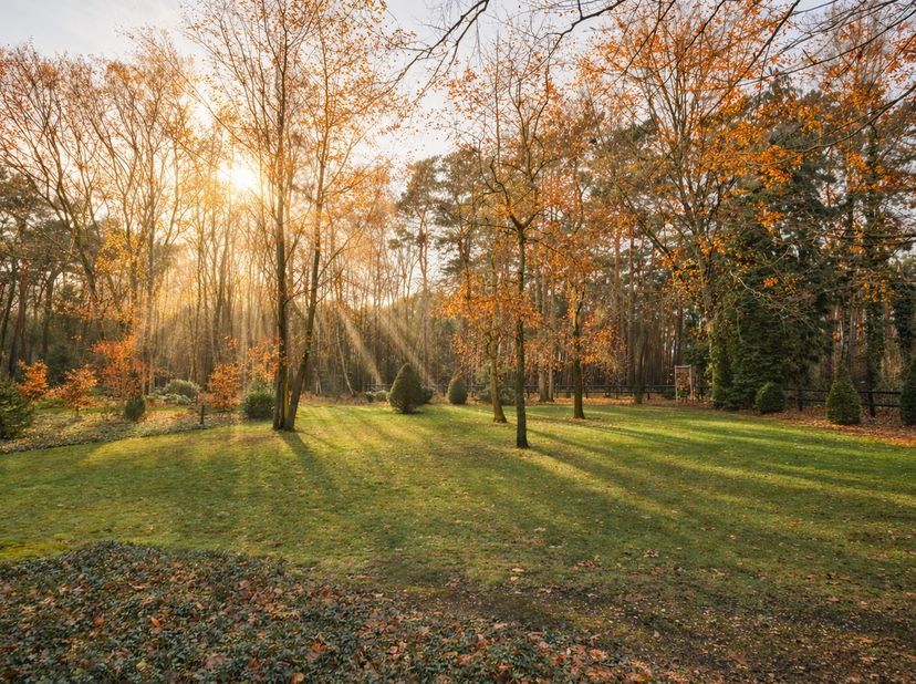Verscholen in het groen van&amp;nbsp;Zutendaal (gehucht Gewaai) bevindt zich deze&amp;nbsp;volledig gerenoveerde woning&amp;nbsp;op een uitzonderlijk perceel van