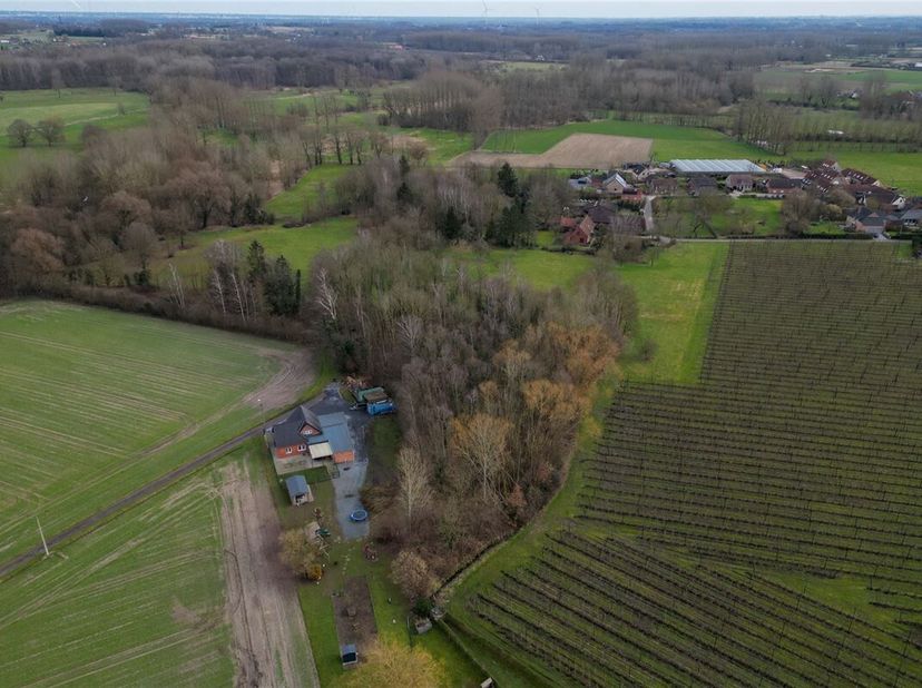Prachtig weiland van 68a in landelijke omgeving<br />
Omgeving:<br />
+ Gelegen in het rustige en groene gebied van "Eikenveld"<br />
+ Talrijke mooie