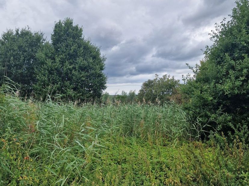 Heb jij nood aan extra grond? Zoek niet verder, deze grond is ideaal gelegen in de straat Brugsken te Schellebelle. Deze grond is volledig afgelegen n