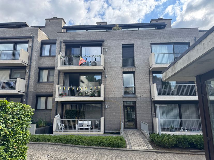 Appartement à louer
                    à 3580 Beringen