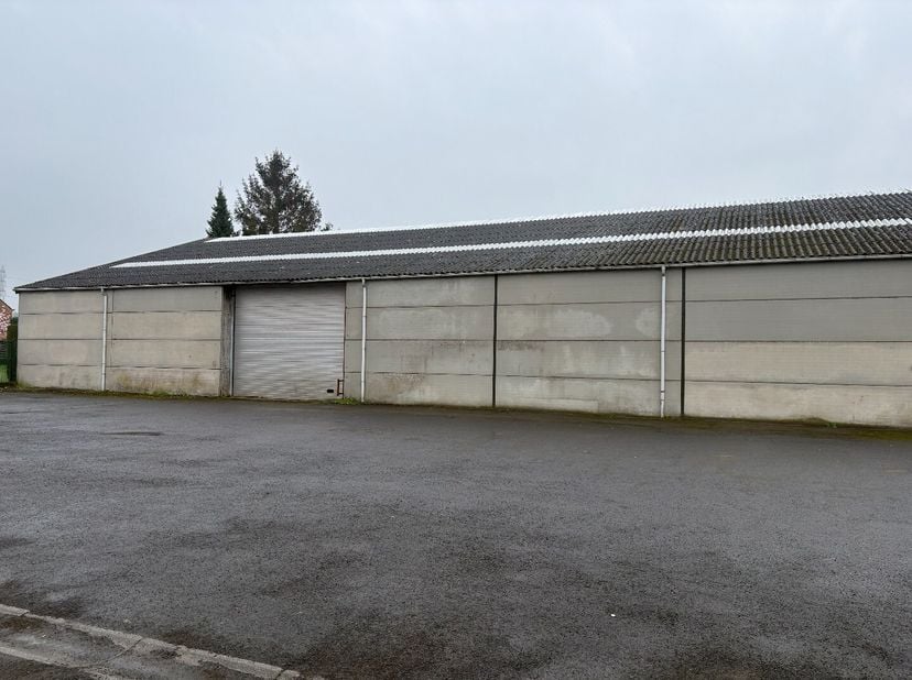 Te huur aangeboden: een ruime en functionele loods met een totale oppervlakte van ca. 1000 m², ideaal voor opslag, logistiek of industriële activiteit