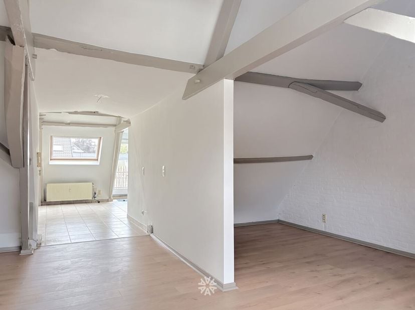 GENT - Burgstraat 55: Op zoek naar een leuke studio met terras te huur in centrum  Gent? Dan is dit pand mogelijk iets voor u.<br />
De troeven in een
