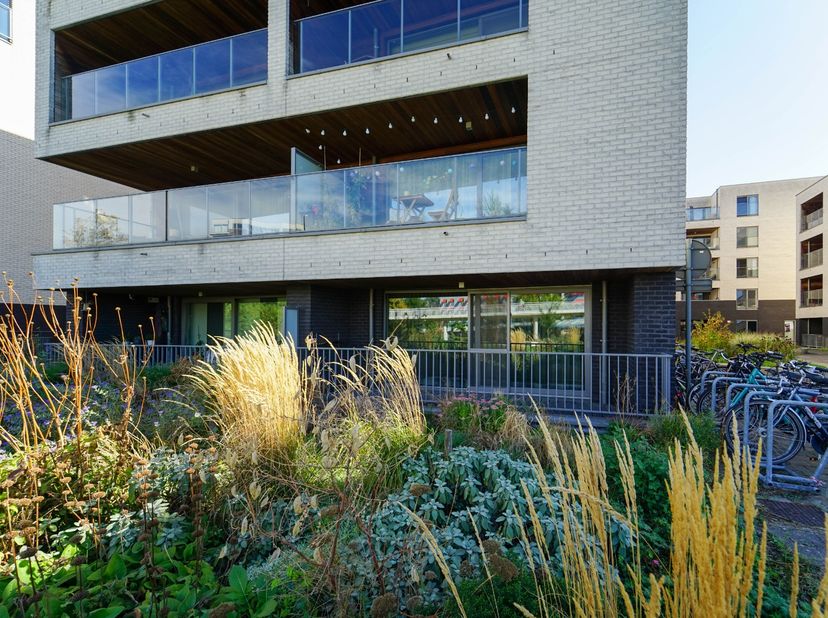 Appartement te huur in jenny Tanghestraat 6 bus 006,
                    9000 Gent