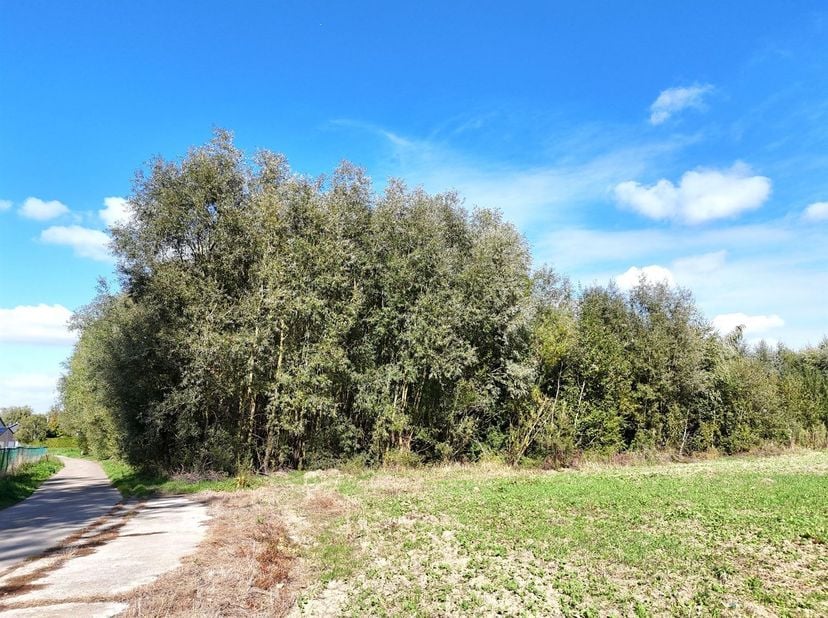 Terrain à vendre à Rue de Bende,
                    4470 Saint-Georges-sur-Meuse