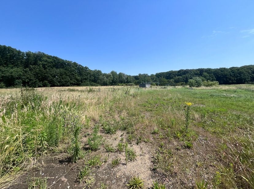 Terrain à vendre
                    à 3200 Aarschot