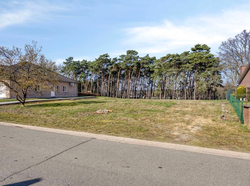 Deze prachtige bouwgrond voor open bebouwing is gelegen in Lummen en biedt een unieke kans om uw droomvilla te realiseren op een perceel van maar lief