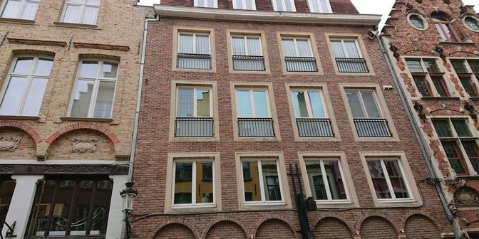 Bien professionnel à vendre à 9100 Sint-Niklaas