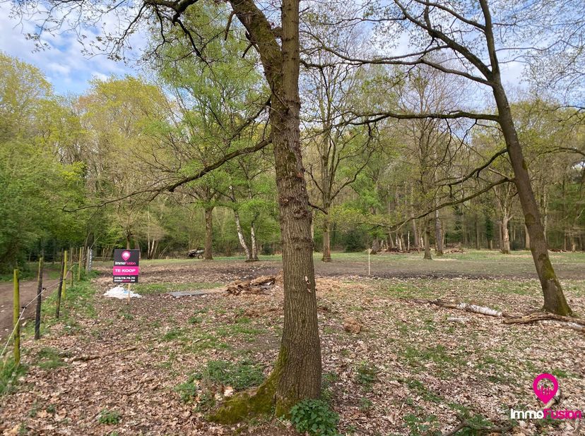 Terrain à vendre
                    à 3550 Zolder
