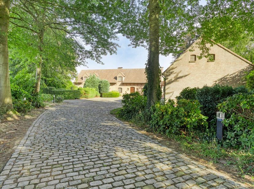 Droom je van wonen in alle rust, omringd door groen en ruimte? Dan is deze charmante hoeve in Anzegem precies wat je zoekt. Op een uitzonderlijk perce