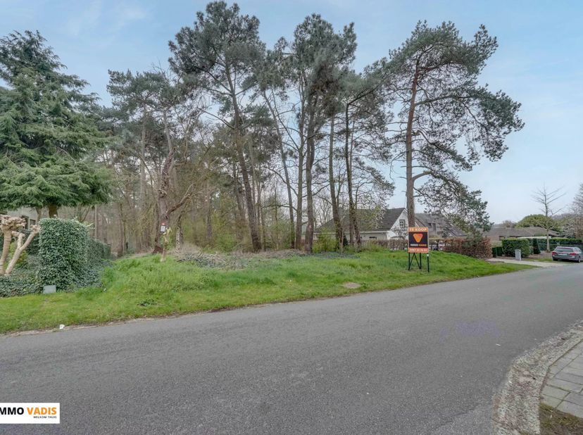 Deze prachtige projectgrond van 15 are is gelegen in de Snijwitstraat 20 in Houthalen.<br />
Met een perceeldiepte van circa 60 meter en een straatbre
