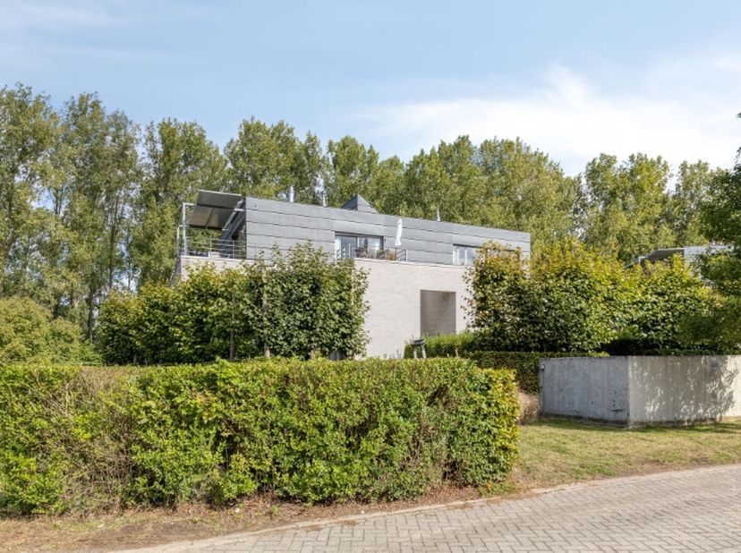 Ruim en lichtrijk gelijkvloers appartement gelegen in een groene oase van rust in het pittoreske Buitenland aan de Schelde. Het appartement is afgewer