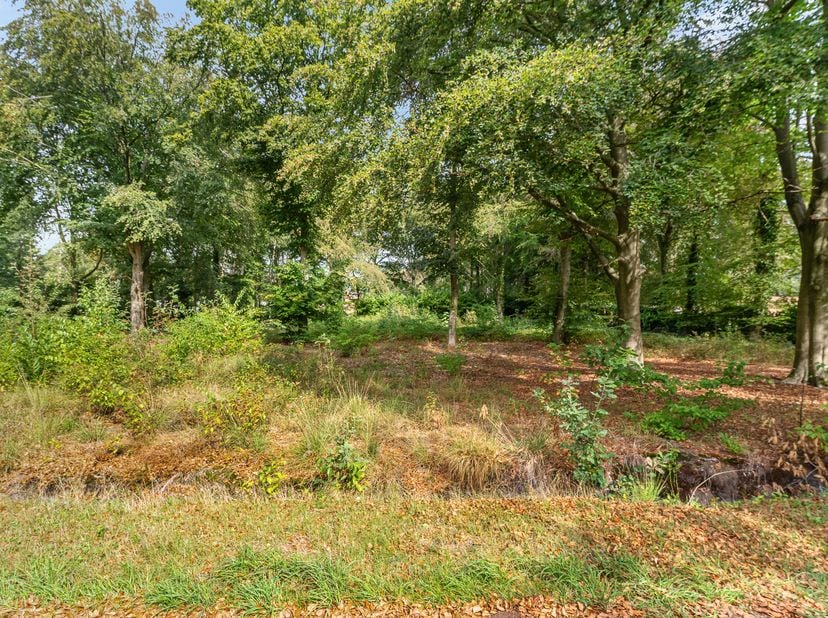 Terrain à vendre à ,
                    2360 Oud-Turnhout
