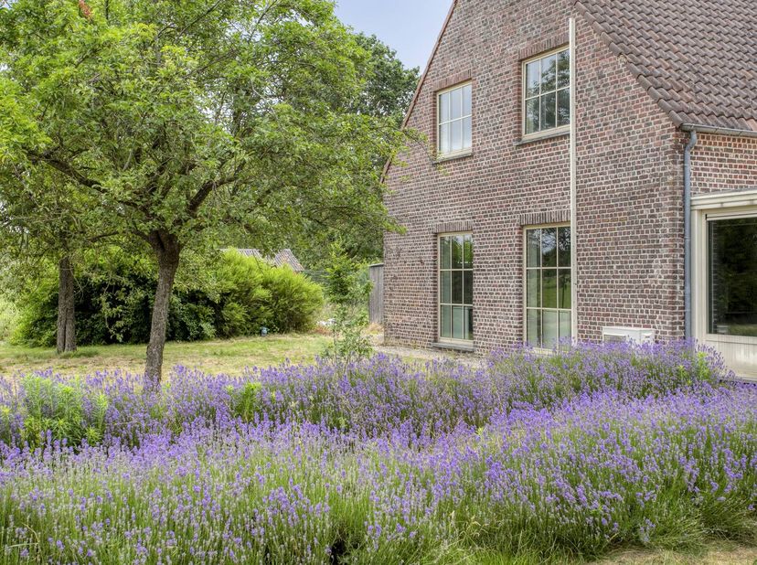 Dit statige pand hoeve dateert oorspronkelijk van 1930 maar onderging in 2000 een totaalrenovatie tot een functioneel kantoorgebouw, waardoor het vand