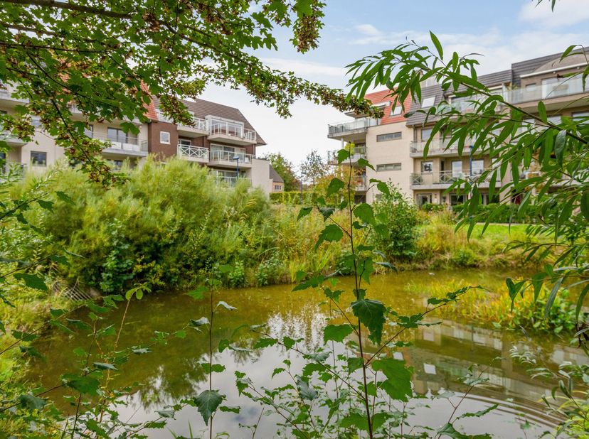 Appartement te huur in Volderij 5 bus 3.02,
                    2550 Kontich