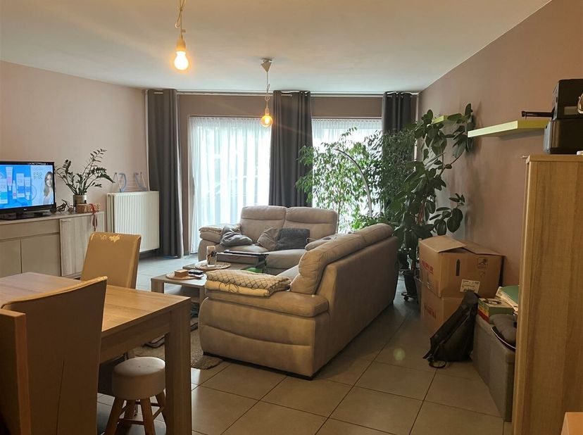 Appartement à louer
                    à 2275 Wechelderzande