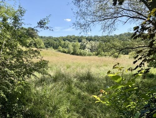                                         Terrain à vendre à Hombourg, € 110.000
