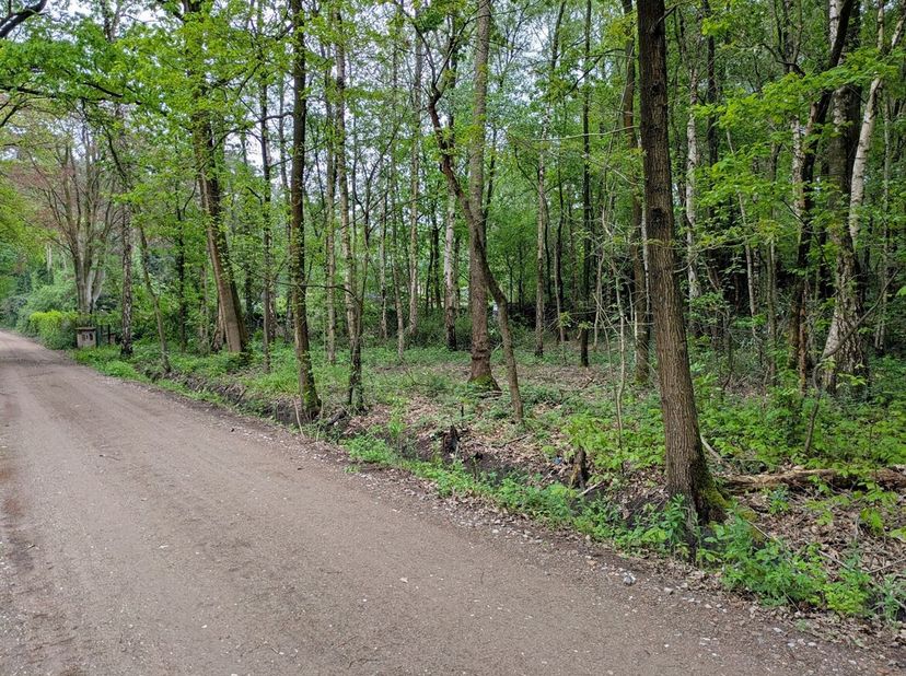 Rustig en groen gelegen perceel grond van 1.619m² in het woonbos te Essen<br />
Perceelbreedte: ca. 20m<br />
Perceeldiepte: ca. 81m<br />
Gelegen in