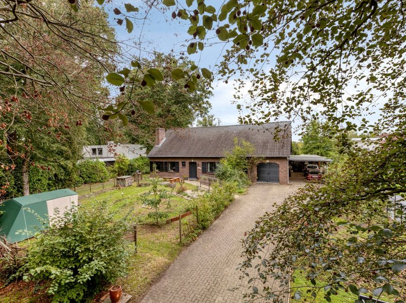 Huis te koop in Berkensingel 22,
                    2490 Balen