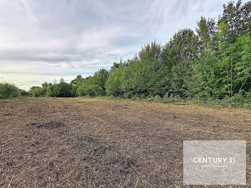 Century 21 Immo Dewaele a le plaisir de vous présenter ce terrain à bâtir de plus d'un hectare, situé au bout d'une voie sans issue entre les Bois Coc