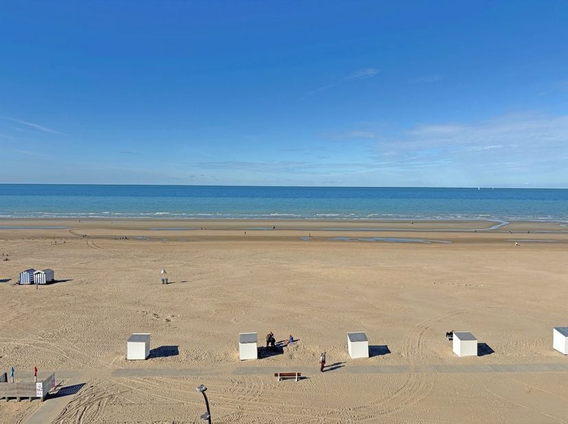 Instapklaar appartement met frontaal zeezicht, gelegen op de Zeedijk van De Panne.<br />
Het appartement omvat een lichtrijke leefruimte met prachtig