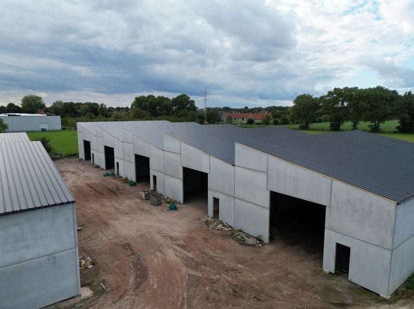 Bien professionnel à vendre à Ardooisesteenweg 319 boîte A,
                    8800 Roeselare