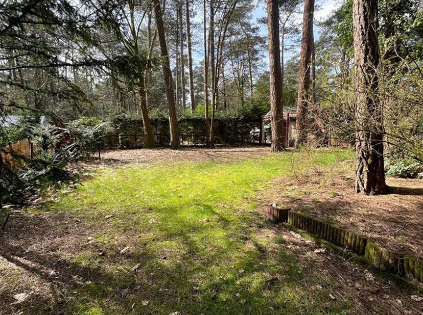 Terrain de loisirs de 761 m² pour l'implantation d'une maison de loisirs<br />
Situation<br />
Ce terrain de loisirs est calme et verdoyant, situé dan