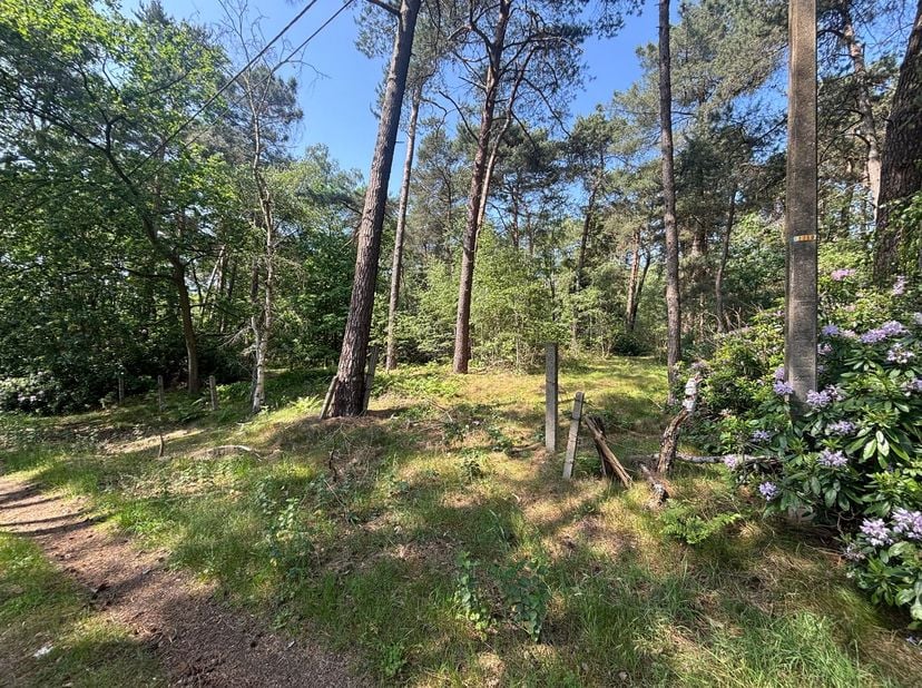 2 bois d'une superficie totale de 49a 90ca à Meerhout<br />
<br />
Situation : Situé dans un quartier vert et calme à Meerhout<br />
<br />
Descri