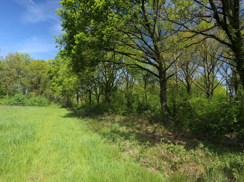Te koop: open grondperceel in bosrijke omgeving van Aarschot, Vlaams-Brabant.Dit perceel ligt midden in een groene en landelijke omgeving. Ideaal voor