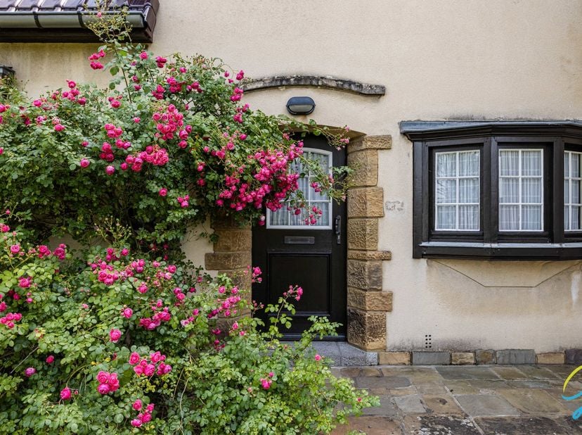 Dit charmant huis met grote tuin is gelegen op een unieke locatie in Geraardsbergen. Aan de stadsrand en dichtbij scholen en winkels, in een oase van