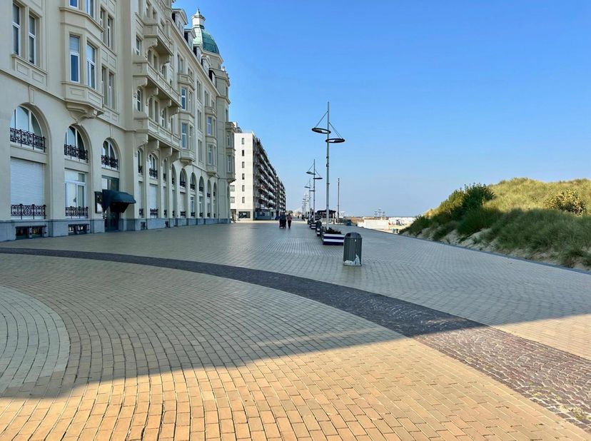 Bien professionnel à vendre
                    à 8380 Zeebrugge
