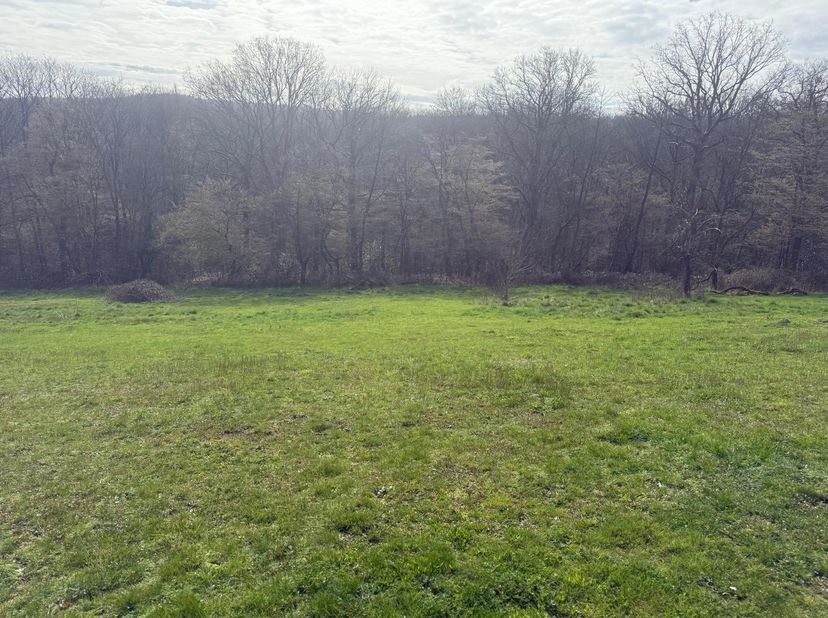 Grond te koop
                    in 5190 Mornimont
