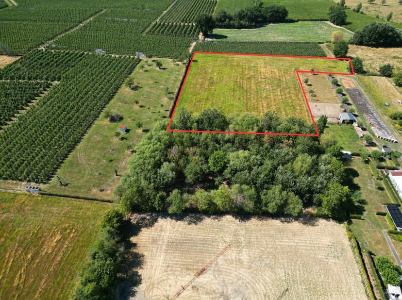 Terrain à vendre
                    à 3570 Alken