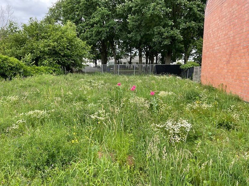 zeer rustig gelegen perceel in doodlopende straat met veel groen
