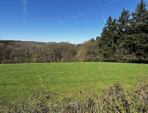                                         Terrain à vendre à Ferrières, € 115.000
