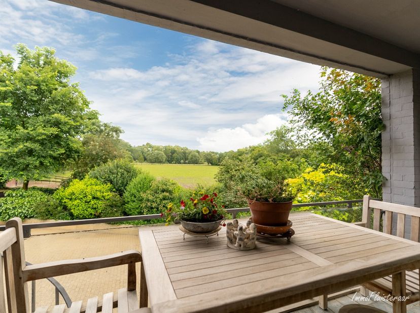 Op zoek naar een vakantiegevoel in België? Op deze locatie leef je als een God in Frankrijk dankzij het prachtige uitzicht op de weide vanop het ruime