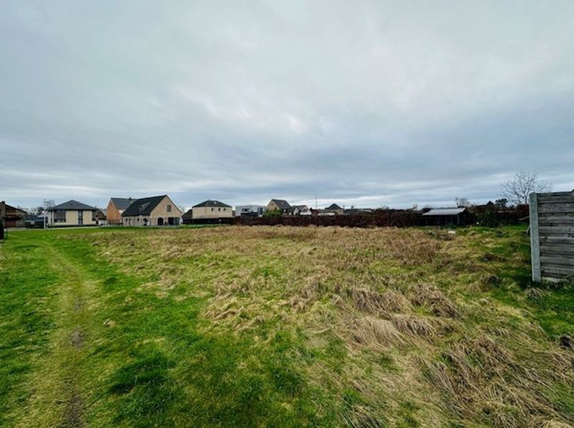 Uitzonderlijk bouwperceel met een ENORM potentieel.<br />
<br />
Ben je op zoek naar een zeer ruim perceel in het Noorden van Limburg met veel privacy