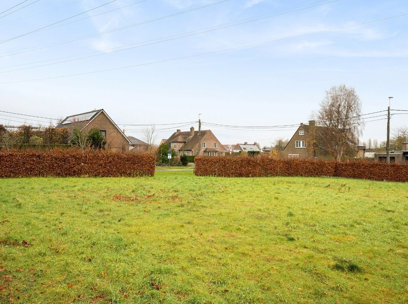 - Topligging in Roeselare: Bollaardstraat 1A<br />
- Rustige ligging in het centrum<br />
- Bouwgrond voor een open woning<br />
- Oppervlakte: 973 m²