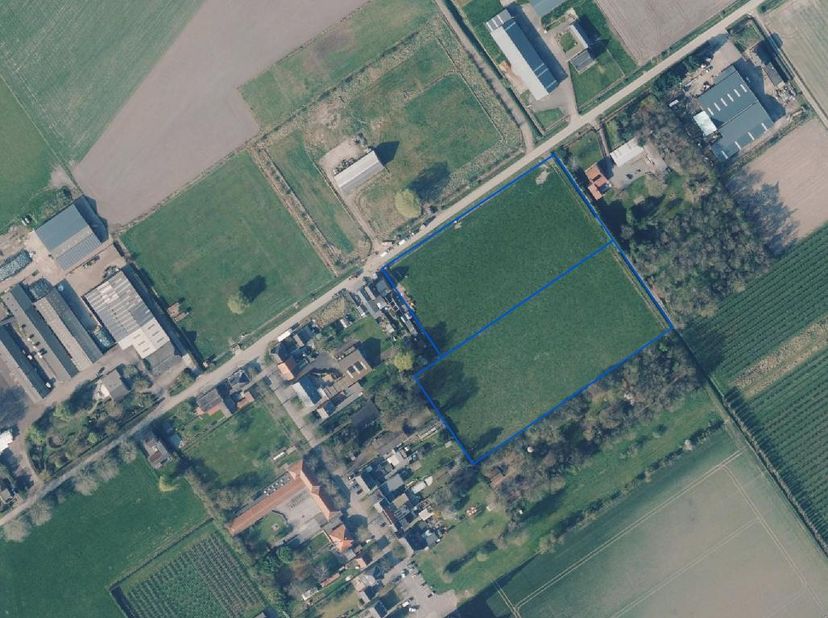 LANDBOUWGROND IN CENTRUM PROSPERPOLDER -<br />
Goed gelegen weiland in centrum van Prosperpolder 15€/m².<br />
Oppervlakte 18.860 m².<br />
Niet verpa