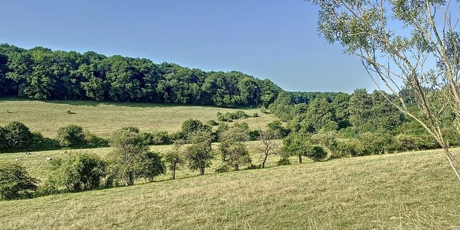 Terrain à vendre à Rue Gabriel Sellière, 6463 Lompret