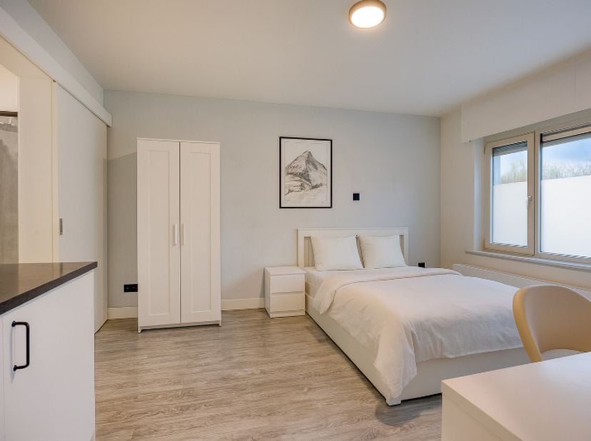 Ontdek deze aangename en praktische studentenkamer van 23,15 m² in het volledig vernieuwde studentencomplex Student Home, gelegen aan de Jan Delvinlaa