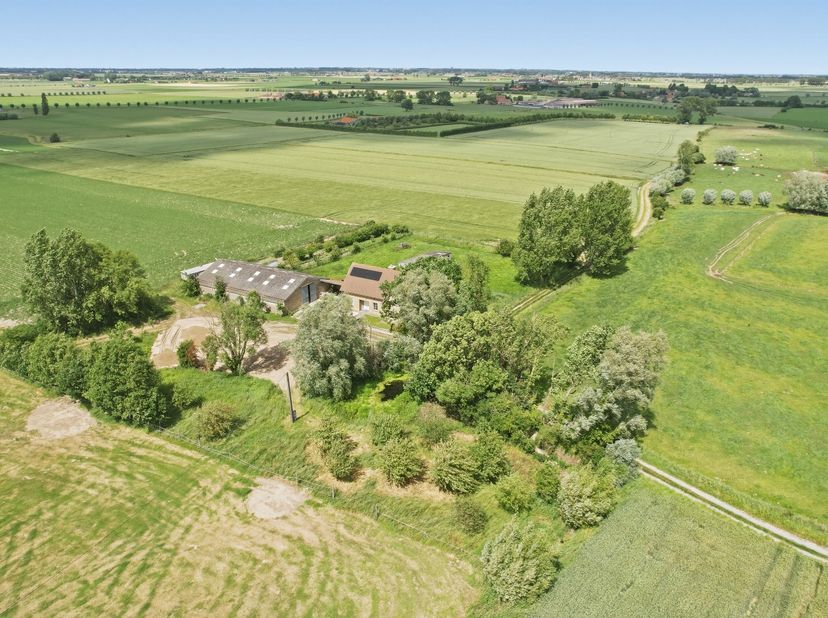 Recente open bebouwing (2019) op een perceel van maar liefst +- 8000 m², rustig en landelijk gelegen in Houtem vlakbij de kust. Deze energiezuinige ei