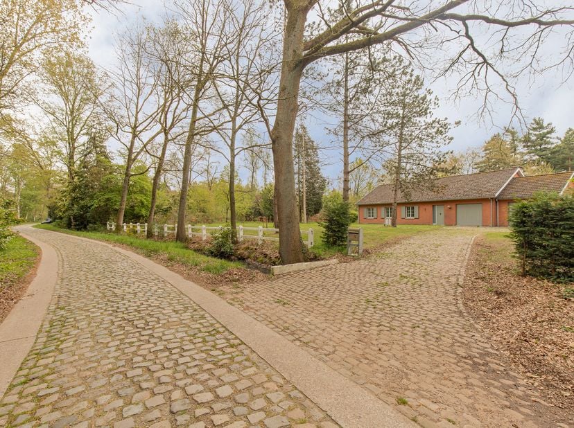 Deze te renoveren bungalow is gelegen in een landelijke straat, omgeven door bossen, velden en open natuur, waar rust en privacy centraal staan. De wo