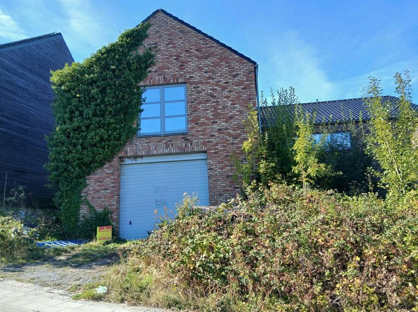 Bedrijfsvastgoed te koop in ,
                    7340 Wasmes