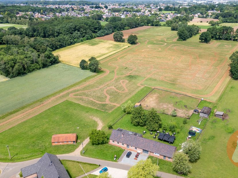 PAAL - Ruime langgevelhoeve op een zeer landelijke, doch centrale locatie.<br />
De eigendom omslaat maar liefst 5ha28ca en meet 125m aan de straat. <